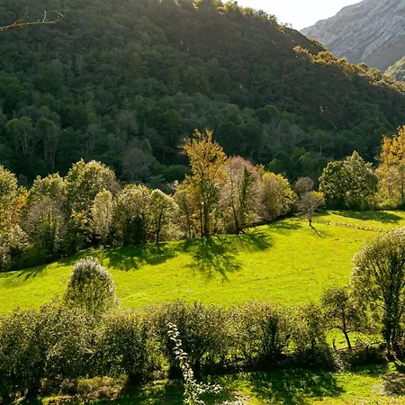 Aguas Parque Ponga
